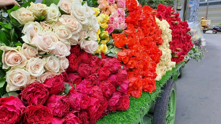Tùy vào màu sắc mà giá hoa hồng dao động từ 15.000 - 30.000 đồng/bó 10 bông. Ảnh: THU HÀ Tùy vào màu sắc mà giá hoa hồng dao động từ 15.000 - 30.000 đồng/bó 10 bông. Ảnh: THU HÀ