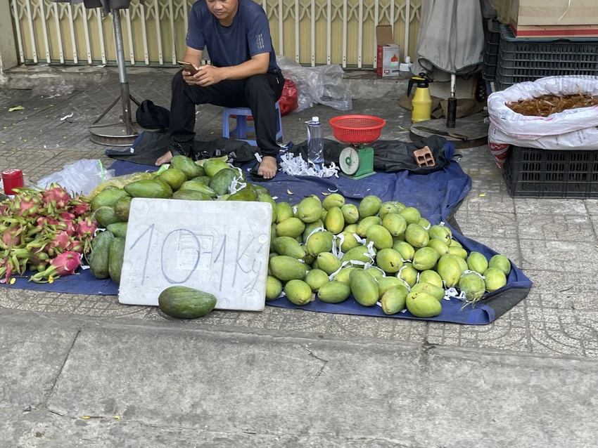 Theo các tiểu thương, xoài đang vào mùa và có sản lượng cao khiến cho mặt hàng này xuống giá. Ảnh: THU HÀ