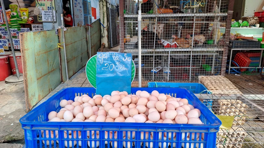 Trứng gà so chỉ 20.000 đồng/chục rẻ hơn trứng gà công nghiệp và gà ta. Ảnh: HẠ QUYÊN Trứng gà so chỉ 20.000 đồng/chục rẻ hơn trứng gà công nghiệp và gà ta. Ảnh: HẠ QUYÊN