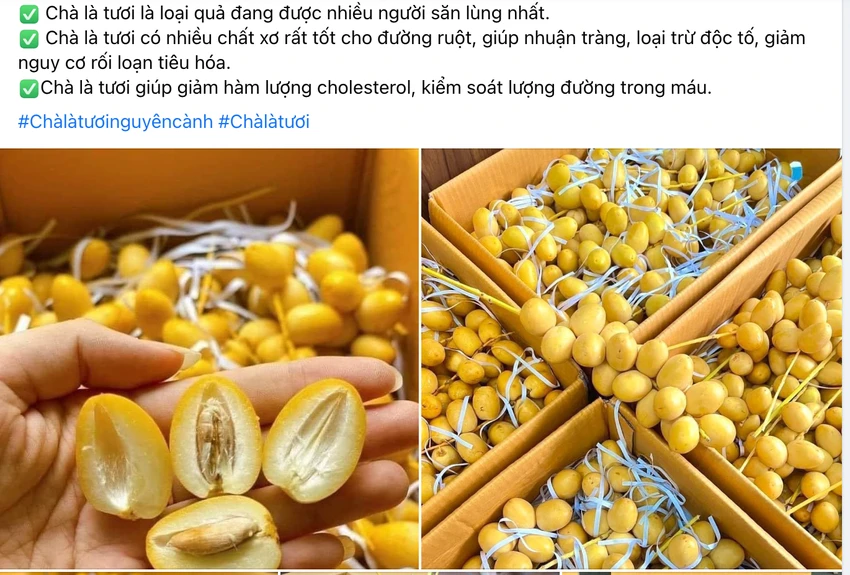 Chà là được rao bán không chỉ ở các chợ truyền thống mà còn ở trên nền tảng mạng xã hội. ẢNH: HẠ QUYÊN Chà là được rao bán không chỉ ở các chợ truyền thống mà còn ở trên nền tảng mạng xã hội. ẢNH: HẠ QUYÊN
