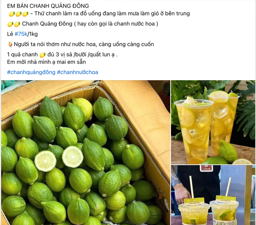 chanh nước hoa