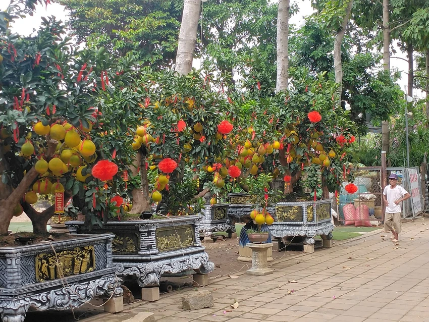 buoi-dien-8983.jpg