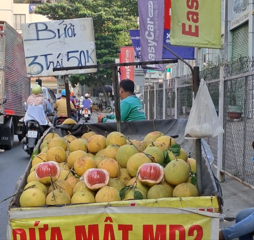 bưởi