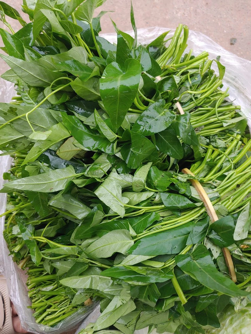 rau muống