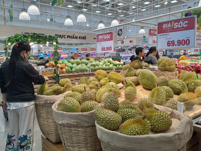 SẦU RIÊNG RI 6 GIẢM GIÁ