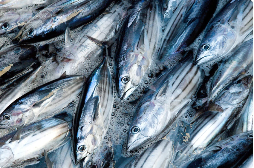 Xuất khẩu thủy sản