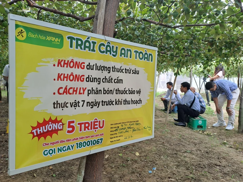tao-ninh-thuan.jpg