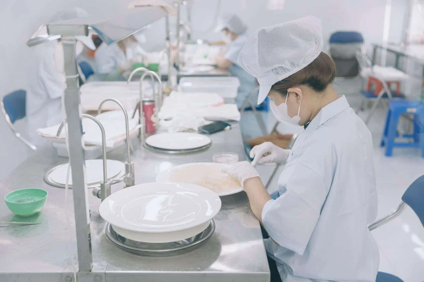 NGÀNH YẾN SÀO