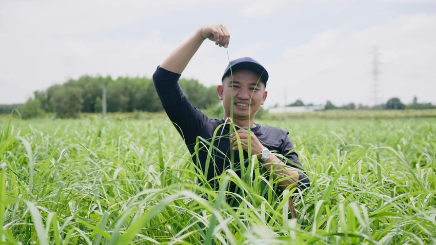 khởi nghiệp xanh