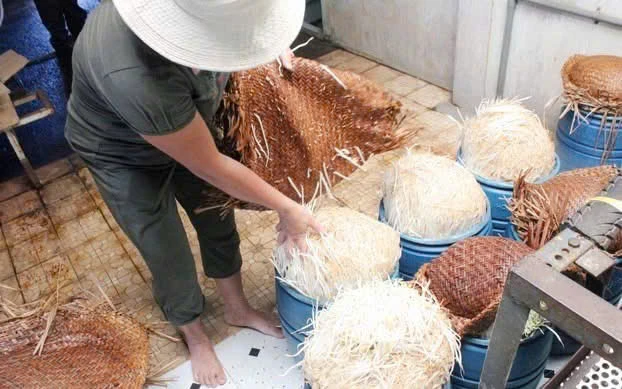 Bách Hóa Xanh cho biết đã lập tức thu hồi và ngưng bán toàn bộ hàng hóa của nhà cung cấp bán giá đỗ ngâm hóa chất.
