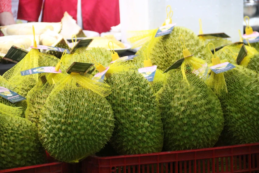 thị trường trung quốc