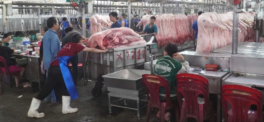 GIÁ THỊT HEO