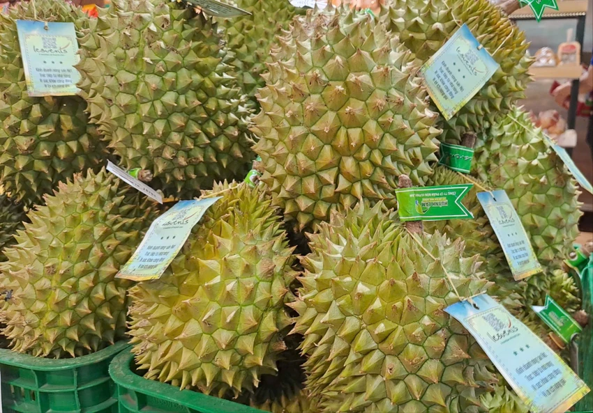 GIÁ SẦU RIÊNG