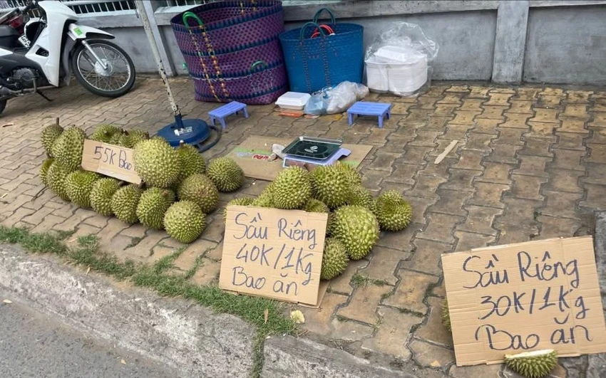 GIÁ SẦU RIÊNG