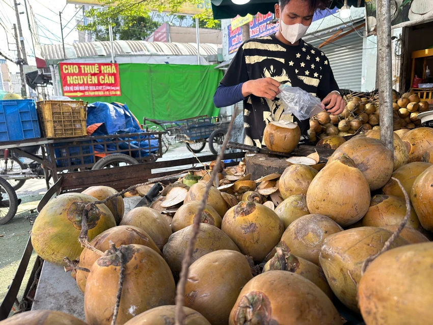 GIÁ DỪA TĂNG