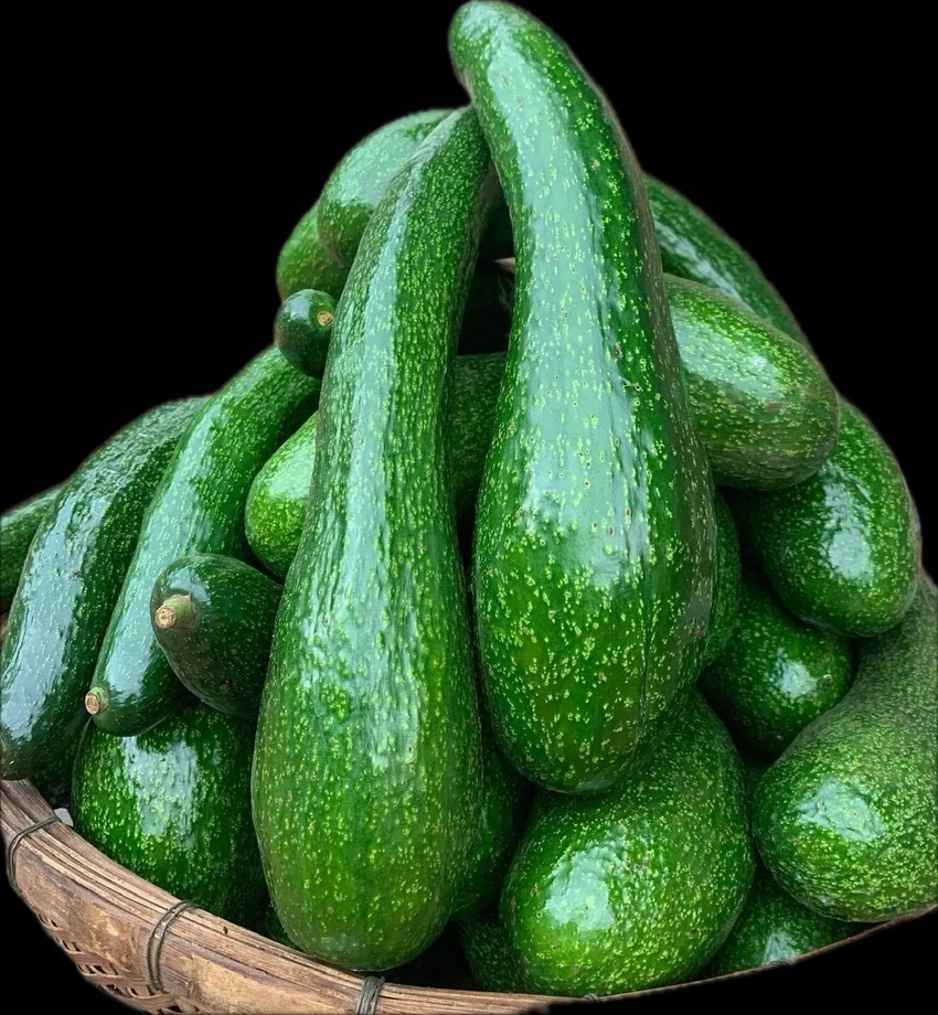 gia-bo-tang_034.jpg