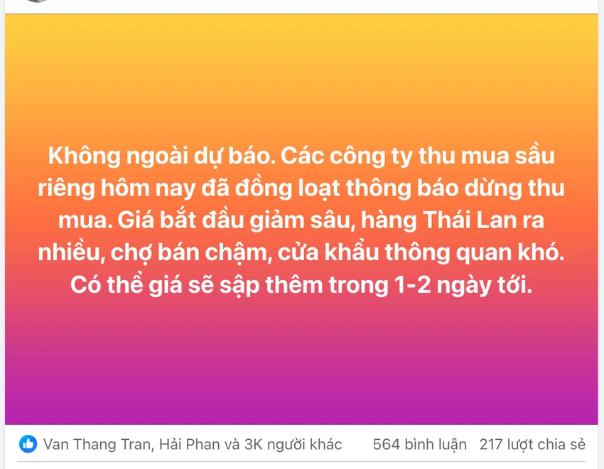thu mua sầu riêng