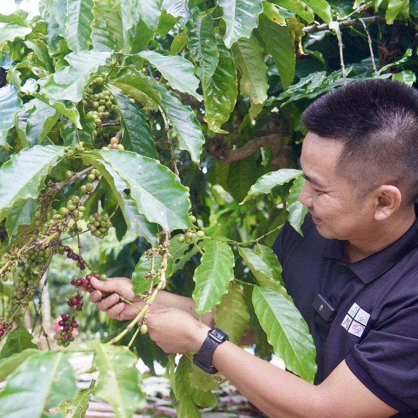 GIÁ XUẤT KHẨU