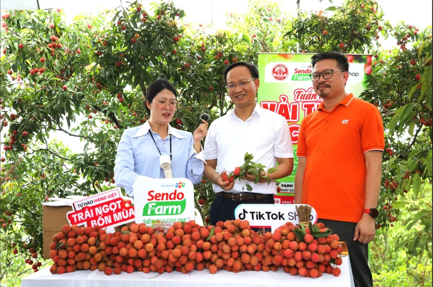 nông sản việt