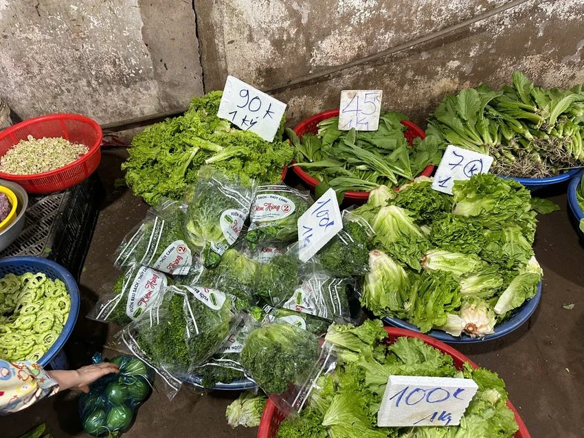 GIÁ RAU CỦ