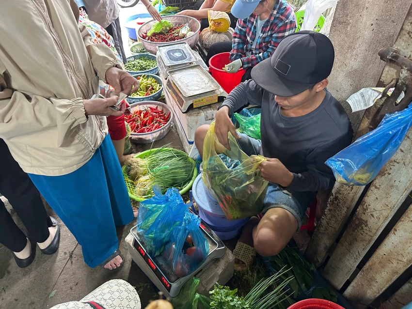GIÁ RAU CỦ