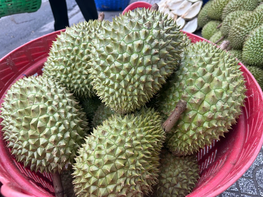 GIÁ SẦU RIÊNG
