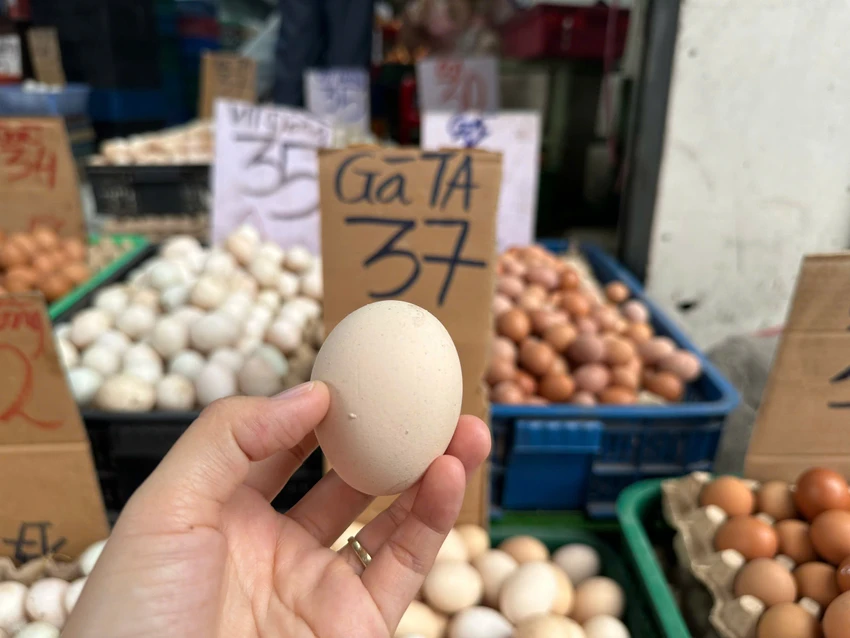 GIÁ THỊT