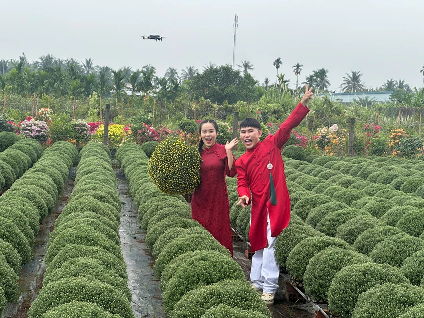 HOA TẾT