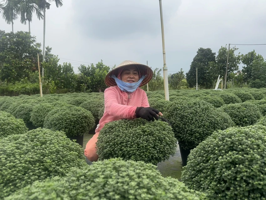 NHÀ VƯỜN