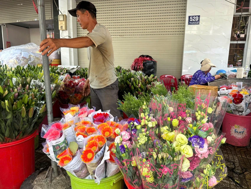 HOA ĐỒNG TIỀN