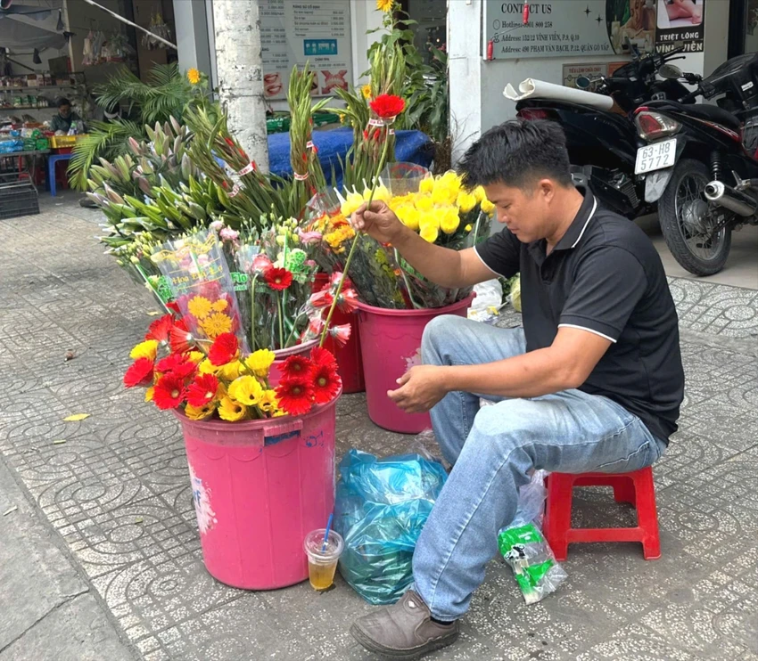 Hoa đồng tiền