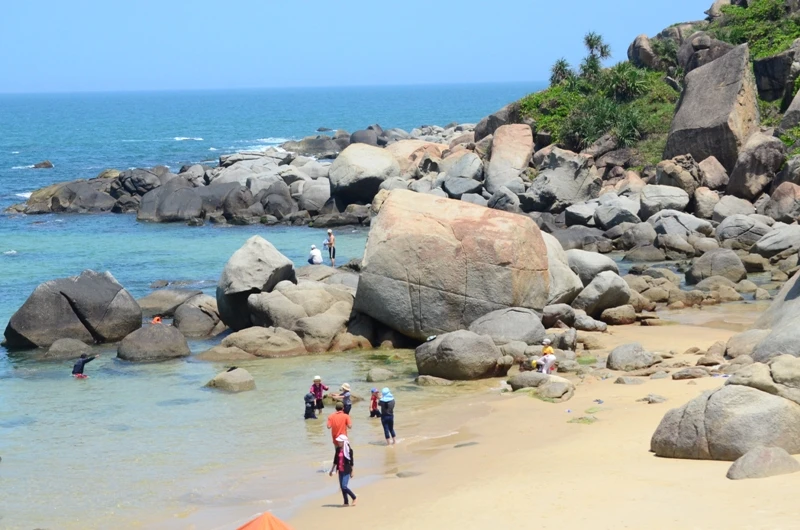 Khám phá nét hoang sơ biển Vũng Bầu ảnh 4