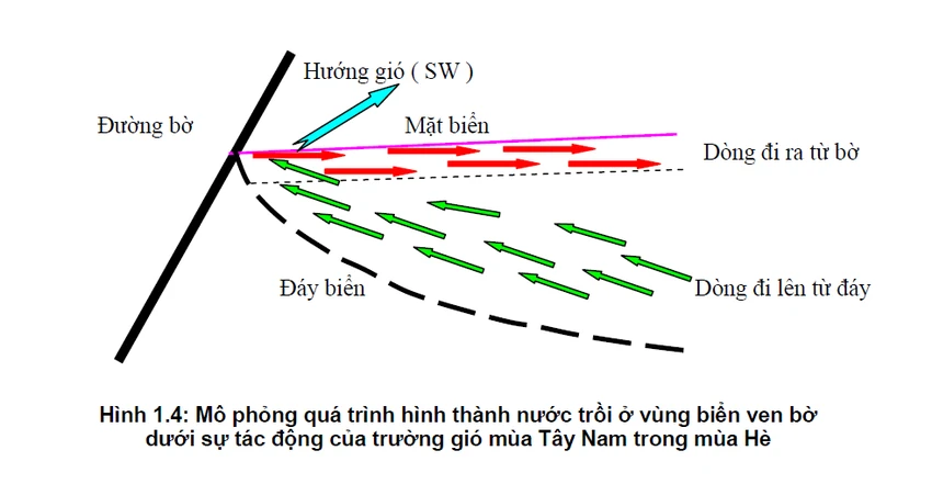8 nhà khoa học Viện Hàn lâm đến Vĩnh Tân khảo sát ảnh 1 8 nhà khoa học Viện Hàn lâm đến Vĩnh Tân khảo sát ảnh 1