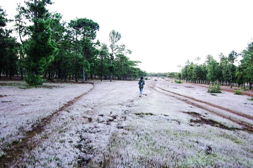 Chủ đầu tư sân golf Đắk Đoa hoạt động thua lỗ ảnh 1 Chủ đầu tư sân golf Đắk Đoa hoạt động thua lỗ ảnh 1