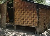 Cả gia đình 'người rừng' bỏ trốn vào rừng sâu