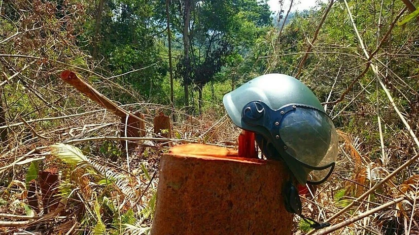 Kiểm tra khẩn vụ 'phá rừng, trộm cát công khai ở hồ Đa Mi' ảnh 2 Kiểm tra khẩn vụ 'phá rừng, trộm cát công khai ở hồ Đa Mi' ảnh 2