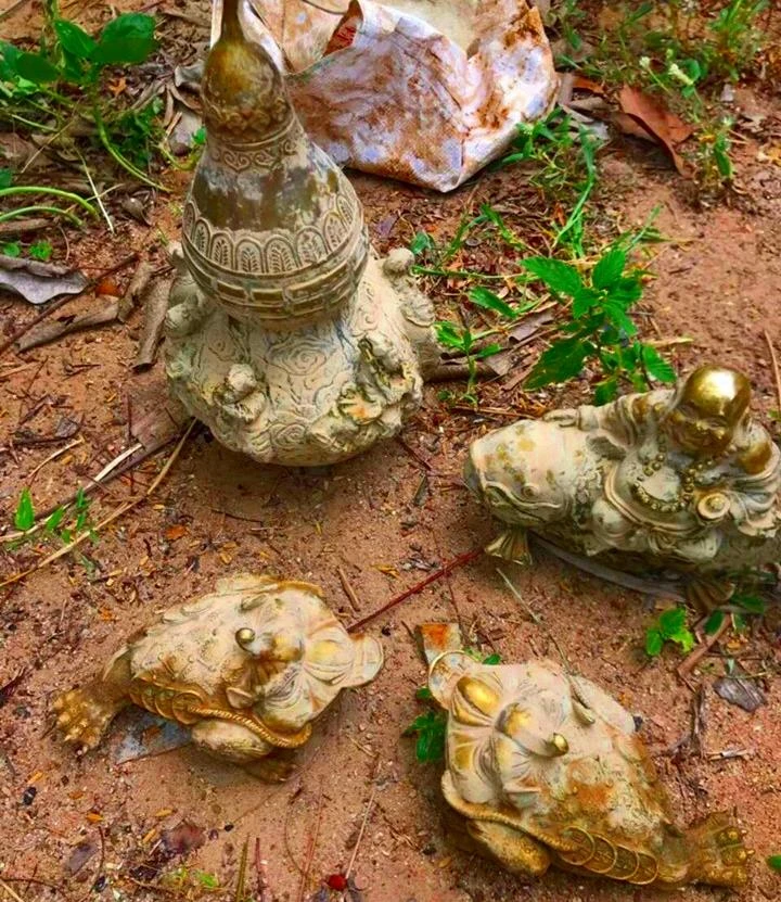 Đào ao bất ngờ phát hiện 'kho báu' gần núi Tàu ảnh 2 Đào ao bất ngờ phát hiện 'kho báu' gần núi Tàu ảnh 2