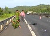 Truy tìm ô tô tông chết người trên quốc lộ 1