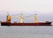 Bình Thuận: Tàu container tông chìm tàu cá có 8 thuyền viên