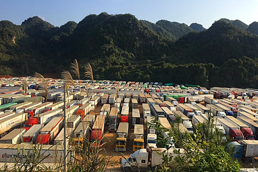 Xe container đậu cắn đuôi nhau chờ đưa thanh long sang Trung Quốc tháng 12-2021. Xe container đậu cắn đuôi nhau chờ đưa thanh long sang Trung Quốc tháng 12-2021.