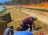 Bình Thuận yêu cầu làm rõ nghi vấn đầu tư 350 m kè biển sai địa chỉ