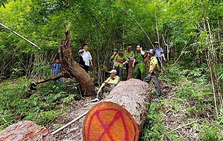 Cơ quan điều tra phối hợp với các đơn vị liên quan đến hiện trường. Ảnh VKS Cơ quan điều tra phối hợp với các đơn vị liên quan đến hiện trường. Ảnh VKS