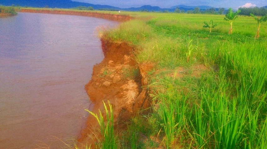 Hoạt động khai thác cát trên sông La Ngà nhiều năm qua đã làm xói lở, ảnh hưởng lớn đến đất đai canh tác của bà con nông dân ven sông. Ảnh PN. Hoạt động khai thác cát trên sông La Ngà nhiều năm qua đã làm xói lở, ảnh hưởng lớn đến đất đai canh tác của bà con nông dân ven sông. Ảnh PN.