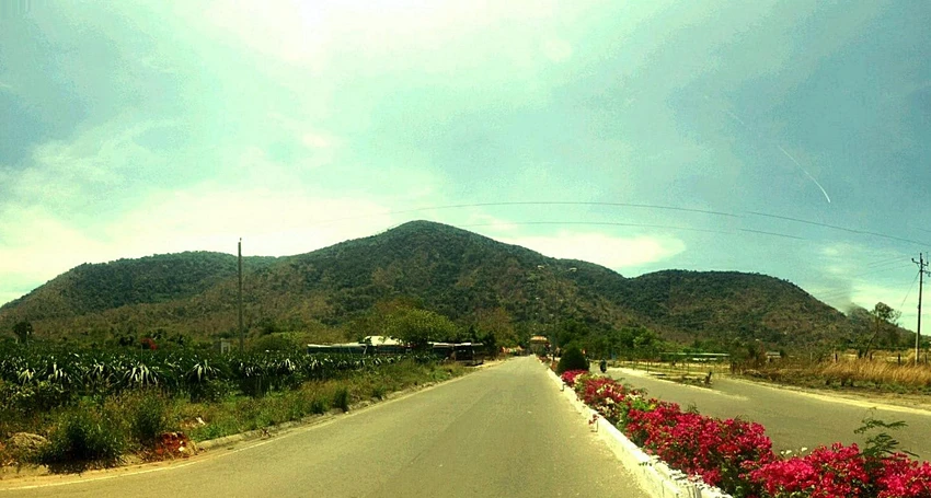 Núi Tà Cú cách QL1A khoảng 2 km. Núi Tà Cú cách QL1A khoảng 2 km.