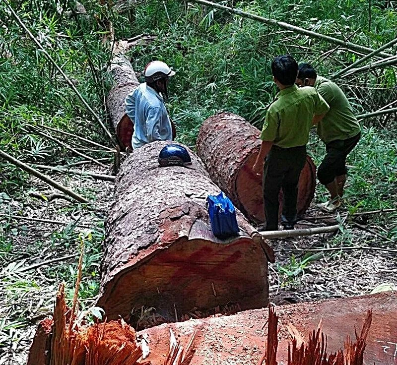 kiem-lam-binh-thuan-nghi-viec