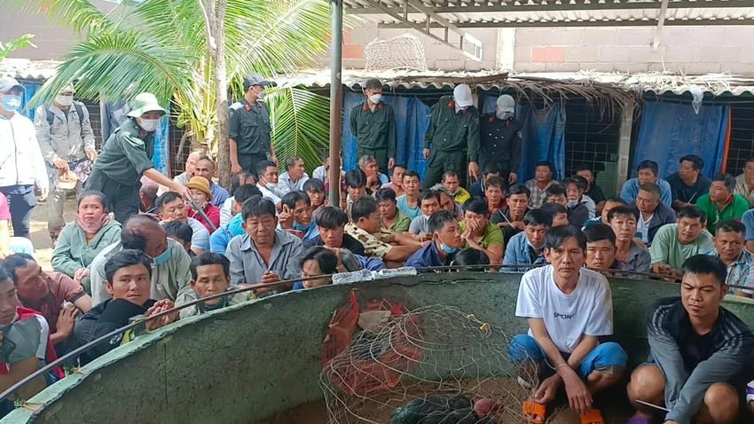 Toàn bộ 60 con bạc không thể thoát thân do kế hoạch đánh án chặt chẽ. Ảnh PĐ. Toàn bộ 60 con bạc không thể thoát thân do kế hoạch đánh án chặt chẽ. Ảnh PĐ.