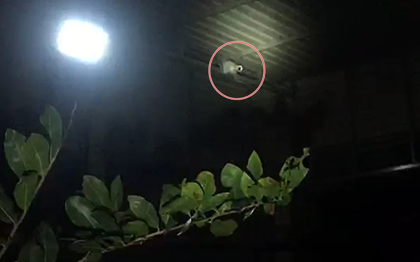 Camera lắp đặt khắp nơi cài cảnh báo tiếng động của những kẻ điều hành đường dây.