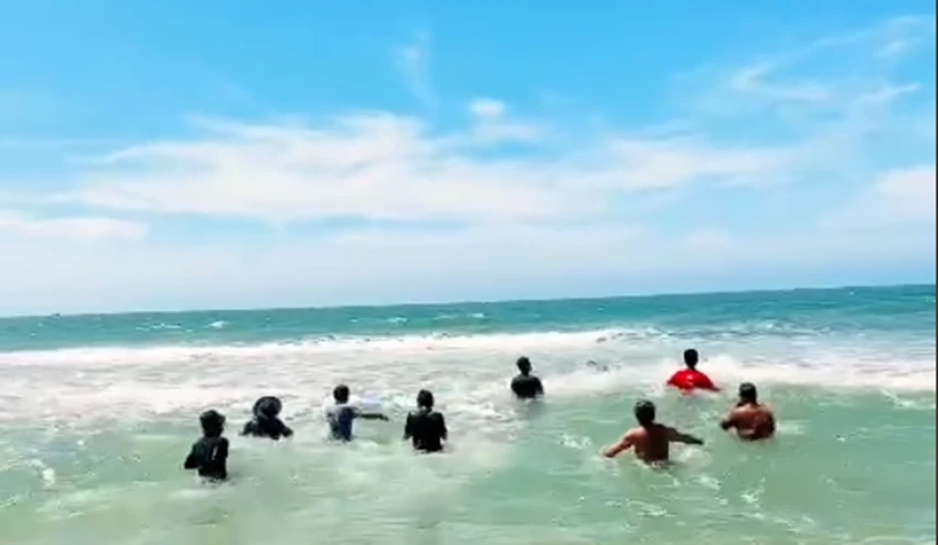 Những người cứu hộ vui mừng chứng kiến cá voi về với biển. Những người cứu hộ vui mừng chứng kiến cá voi về với biển.