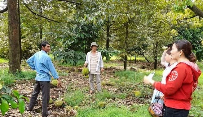 Nhiều hộ gia đình ở Đức Linh bị thiệt hại rất nặng. Ảnh: ĐL Nhiều gia đình ở Đức Linh thiệt hại rất nặng
