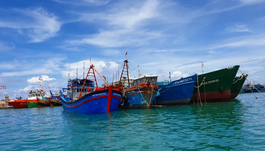 Hai tàu cá liên quan đang neo đậu tại cảng Phú Quý. Ảnh: PĐ